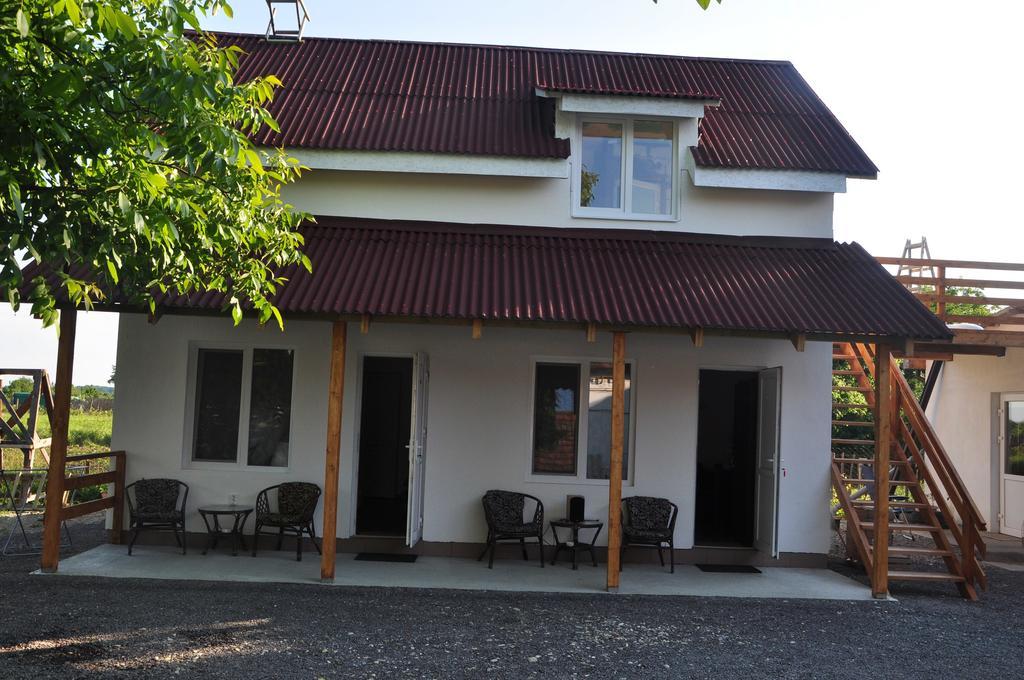 Villa Elena Yanoshi Bagian luar foto